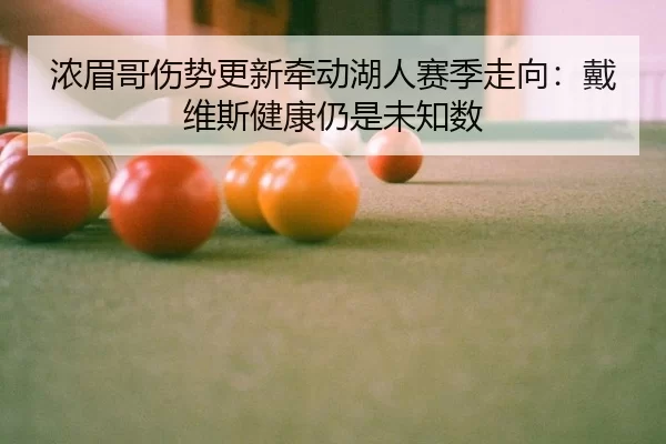 浓眉哥伤势更新牵动湖人赛季走向：戴维斯健康仍是未知数